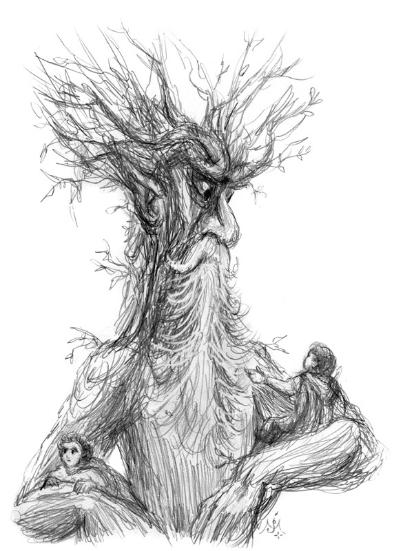 Treebeard_sketch_enh_800