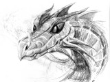 Feisty Dragon