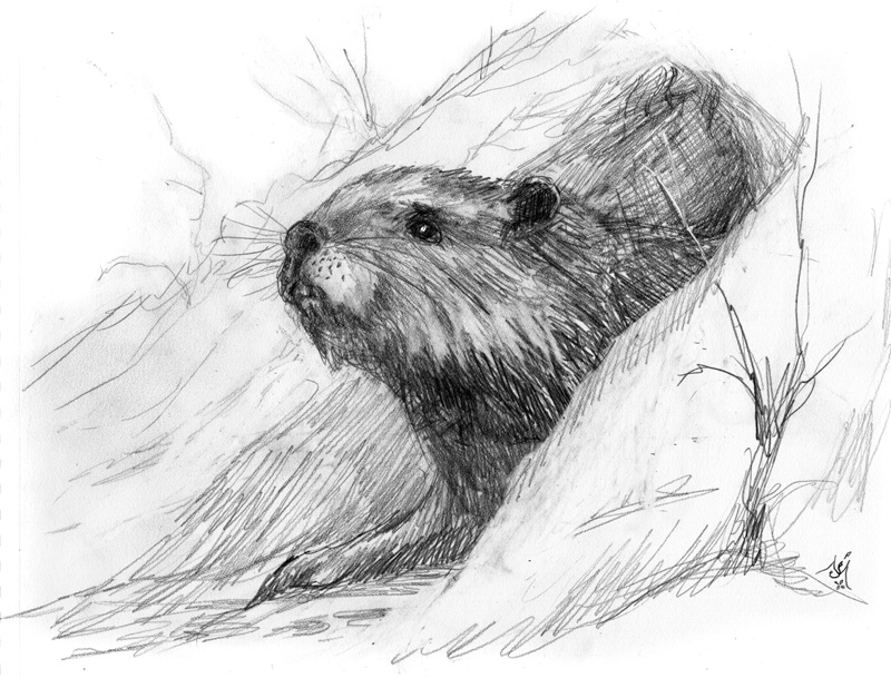 13_04_4165s_The_sound_of_bells001_BW_enh_800