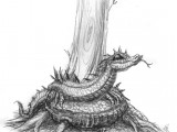 The Perelandra Dragon